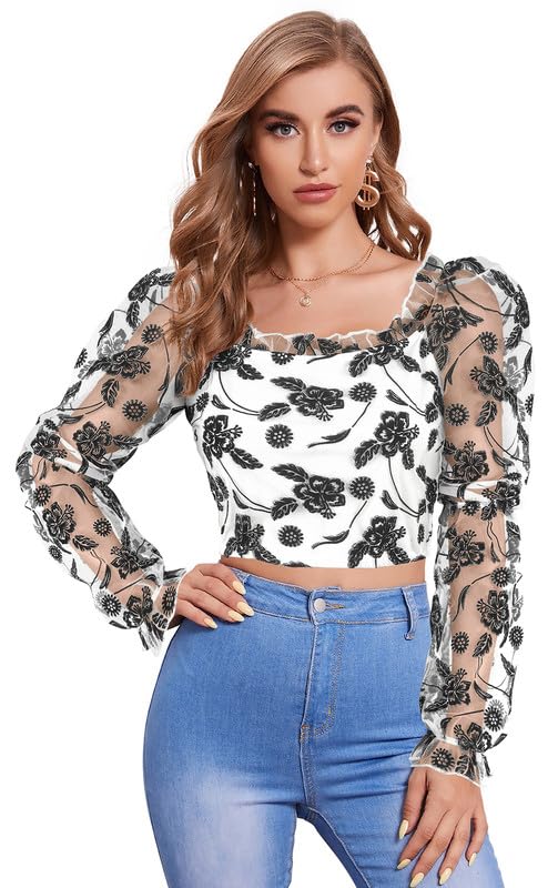Sheer Floral Embroidered Puff Sleeve Crop Top
