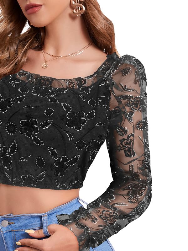 Sheer Floral Embroidered Puff Sleeve Crop Top
