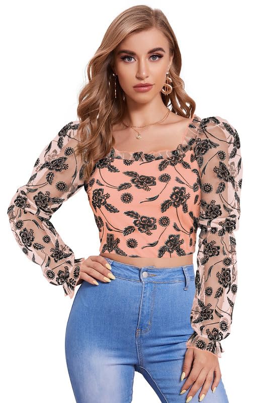 Sheer Floral Embroidered Puff Sleeve Crop Top
