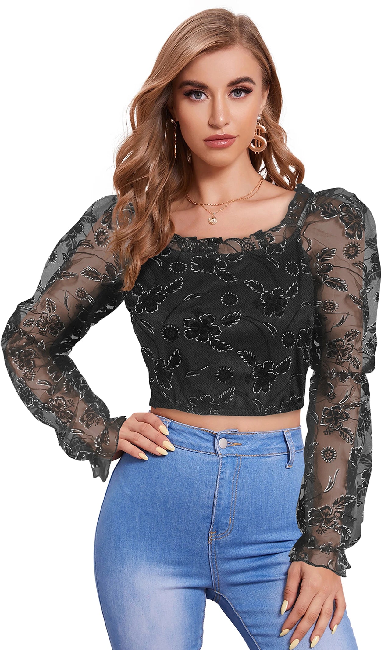 Sheer Floral Embroidered Puff Sleeve Crop Top